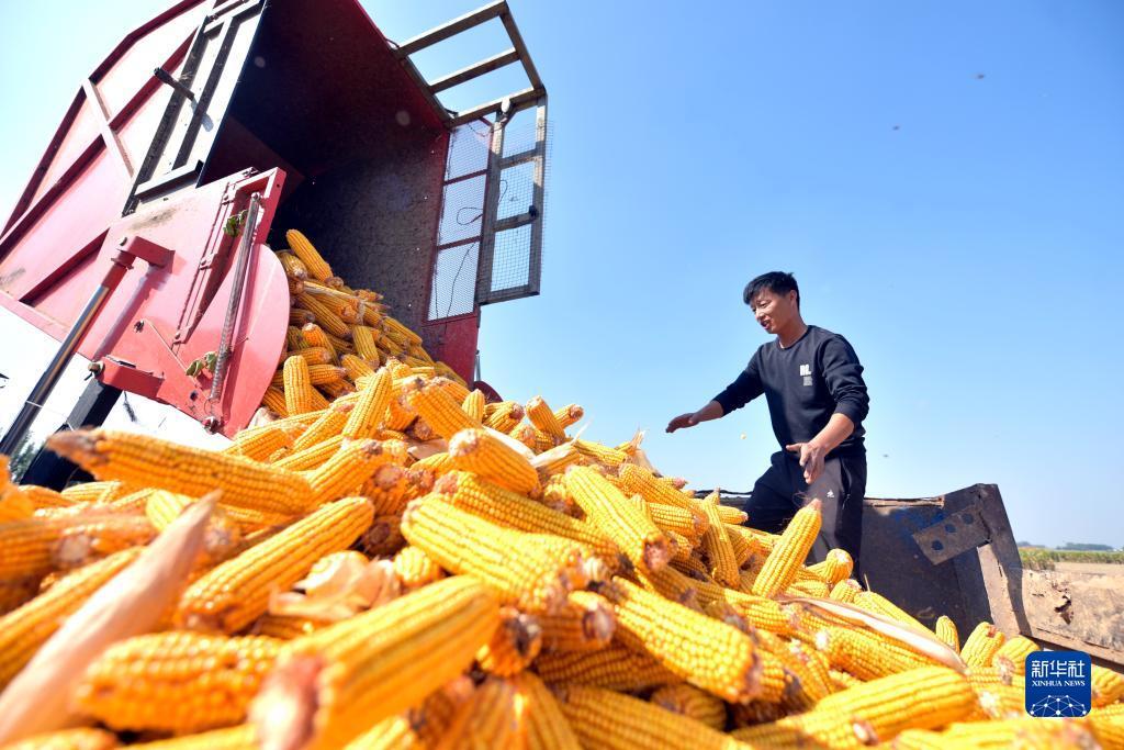 宝马线上娱乐线路
